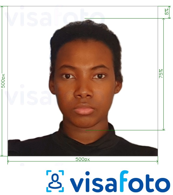 Ví dụ cho ảnh với Cameroon visa trực tuyến 500x500 px cùng kích cỡ xác định chính xác.