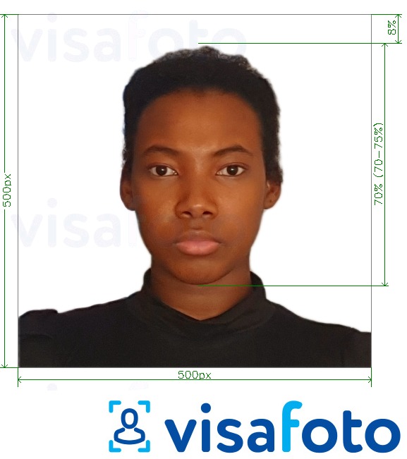Ví dụ cho ảnh với Visa điện tử Kenya trực tuyến 500x500 pixel cùng kích cỡ xác định chính xác.