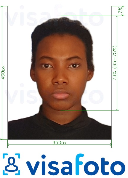 Ví dụ cho ảnh với Visa trực tuyến Nigeria 200-450 pixel cùng kích cỡ xác định chính xác.